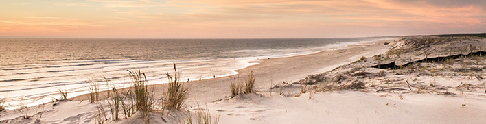 PLAGES LANDAISES - VACANCES LANDES 40 - Gamarde